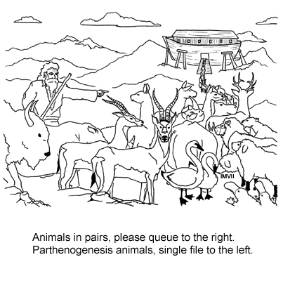 Parthenogenesis ark